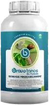 Botol putih bertutup ulir dengan label biru bertuliskan bravo tanos dan Berbasis Mikroorganisme.